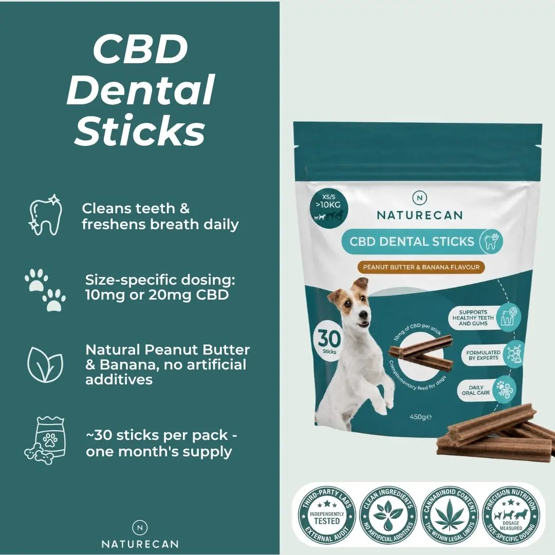 CBD Dental Sticks for Dogs - Image 3
