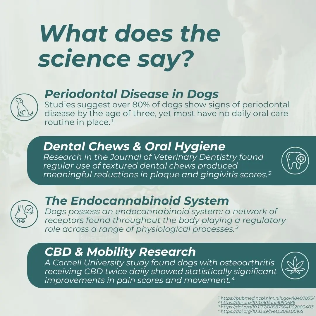CBD Dental Sticks for Dogs - Image 5