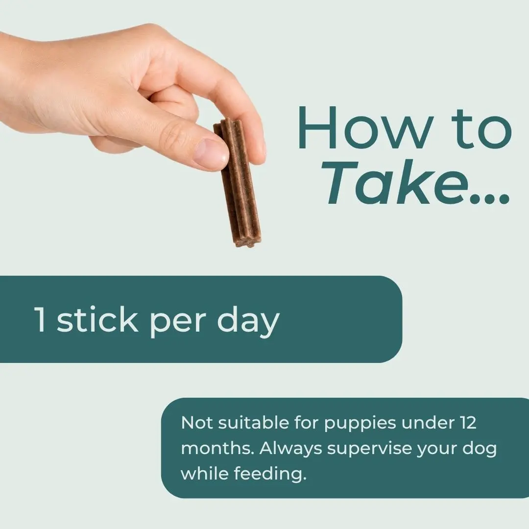 CBD Dental Sticks for Dogs - Image 6