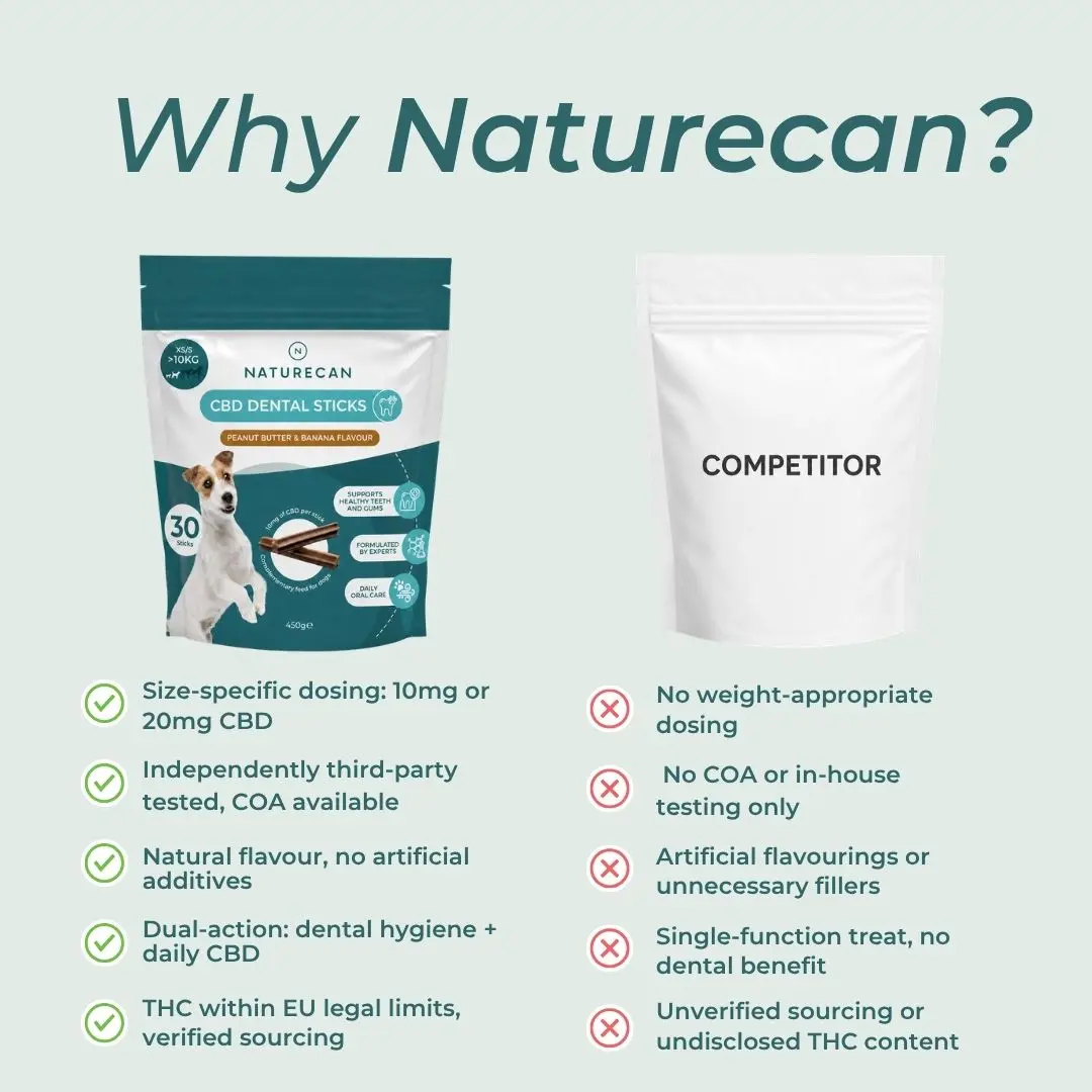 CBD Dental Sticks for Dogs - Image 7