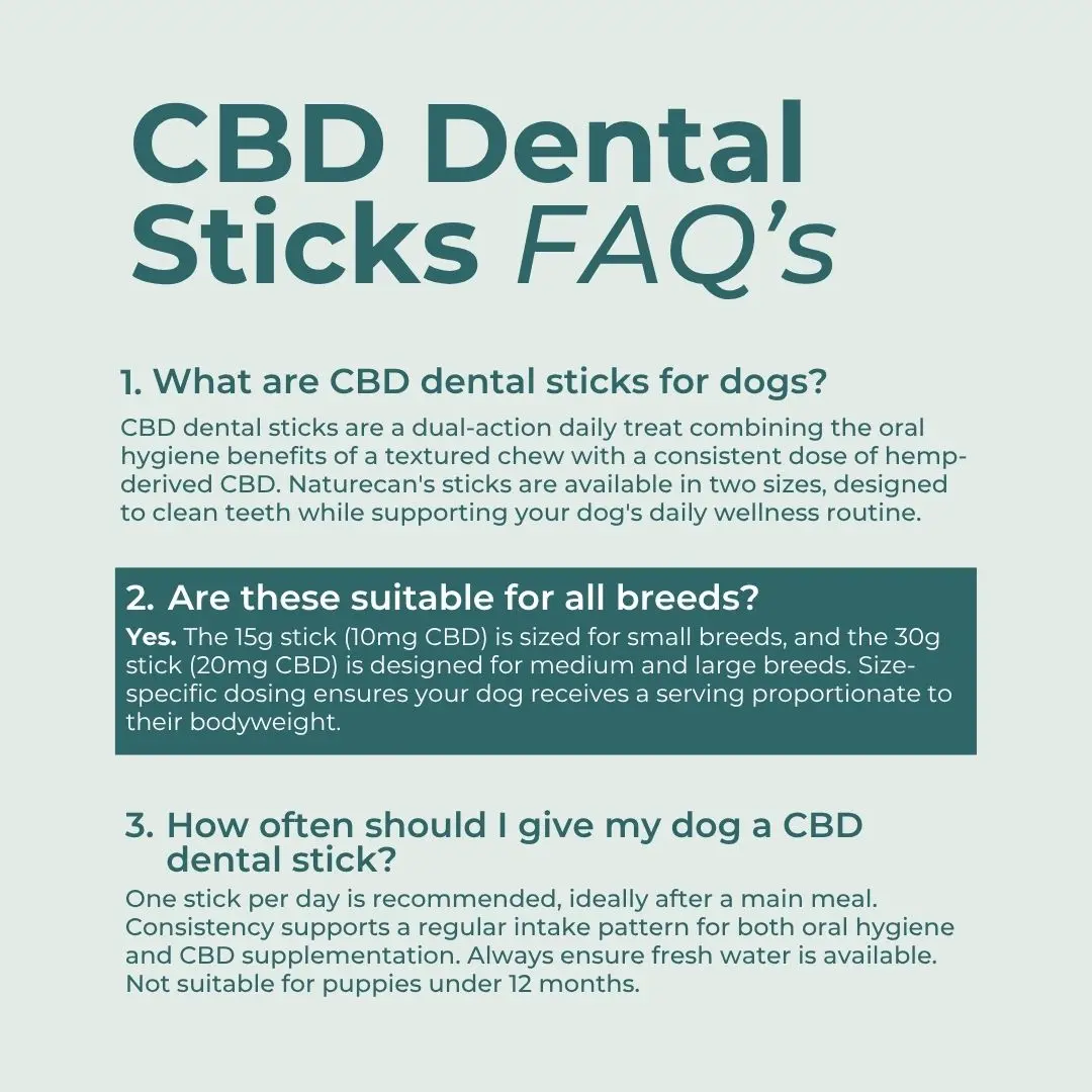 CBD Dental Sticks for Dogs - Image 8