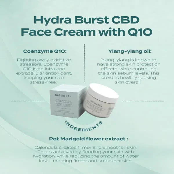 Hydra Burst CBD Face Cream with Q10 - Image 2