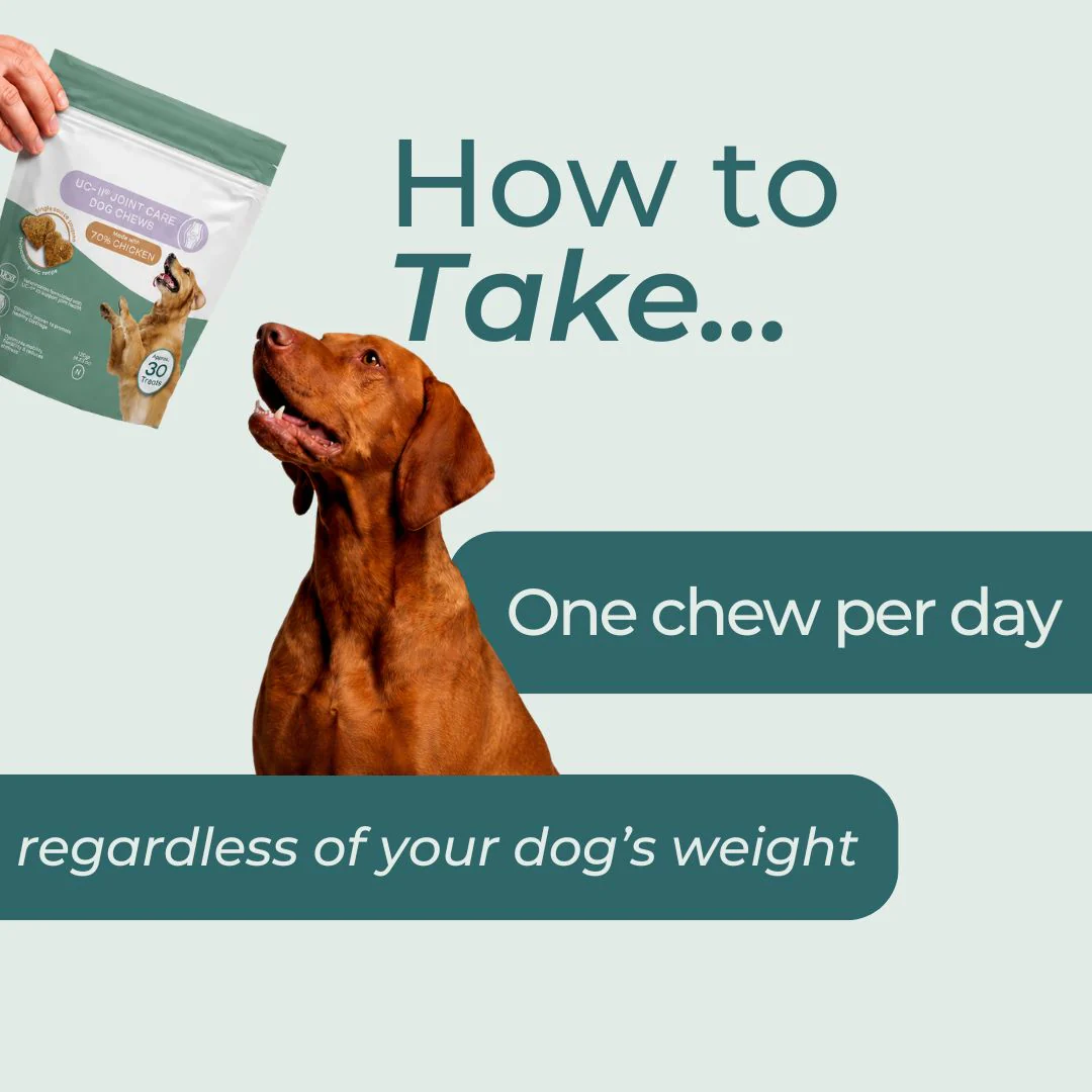UC-II® Joint Care Dog Chews - Image 6