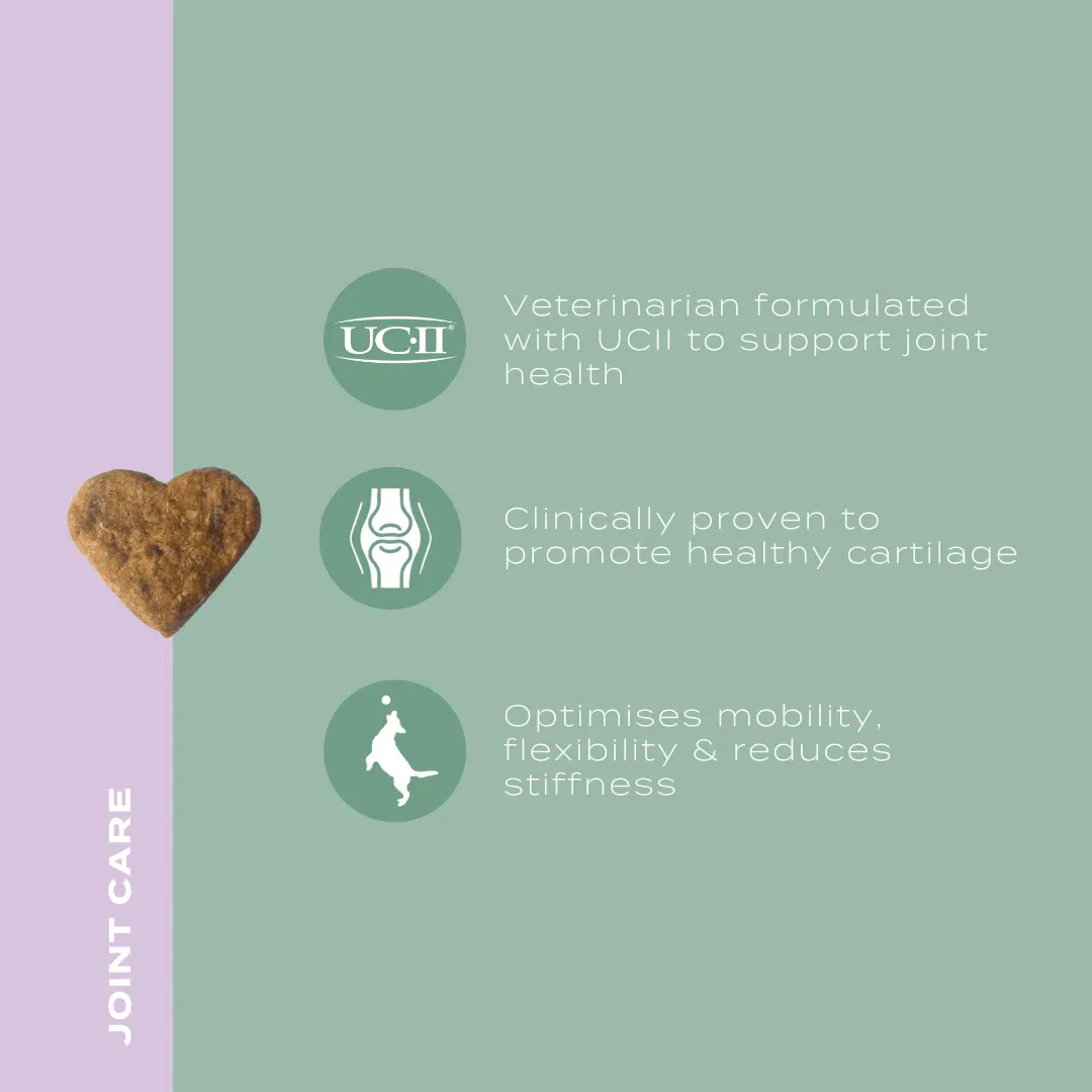 UC-II® Joint Care Dog Chews - Image 8